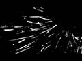 chillout downtempo ambient dub trip hop acid jazz: Susurrus by K.I.A.