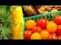 Jennifer Lopez - Get Ready to Get Slim - GET SLIM program by Freshology