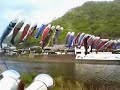 ????(Carp streamer) ????(Carp streamer)