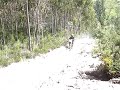 malhos-de-mota.html