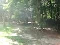 videos de Me messin around on the ALT185 trike