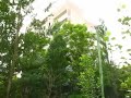 Opuszczone miasto Prype?