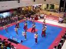 NTU ACES Cheerobics 2008 Champion NTU ACES Cheerobics 2008 Champion