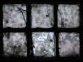 Tekst piosenki Paralysed Age - End Of The World Tekst piosenki Paralysed Age - End Of The World