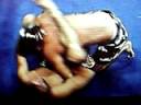 Walter \"Casc�o\" Vital vs Brian Beebe