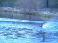 RC Boat H&M Redbird brushless 04.2007 RC Boat H&M Redbird brushless 04.2007