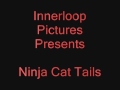 Ninja Cat Tails