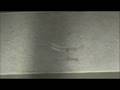 videos de 20081123 SSFC 