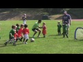 augus and coco playing football