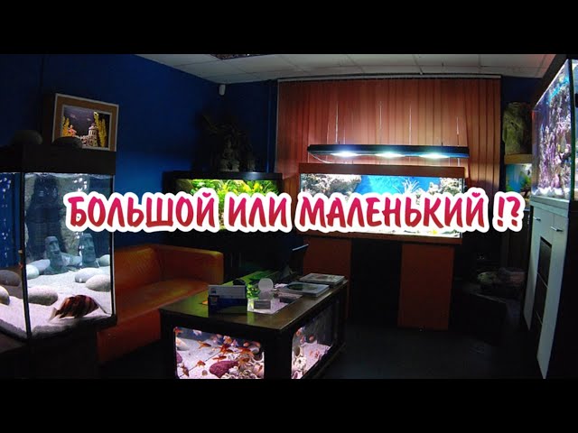 КАКОЙ ОБЪЁМ АКВАРИУМА ВЫБРАТЬ !?