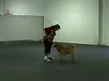 Willy, the twist (the rest) Willy, the twist (the rest)