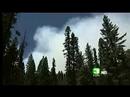 Flames Threaten Foresthill, Blue Canyon