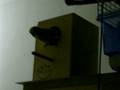 videos de bozo