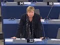 Danut? Budreikait? on EU/Africa Summit