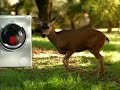 BOSCH Laundry TV spot BOSCH Laundry TV spot
