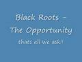 clip video Black Roots Opportunity