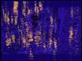 videos de Samsara