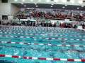 100 Breastroke New England Masters
