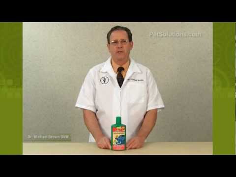 how to treat koi parasites