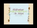 Vegetarian Recipes - Tacos de Soya (carne de soya)