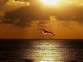 Olsen Brothers- Fly On The Wings Of Love