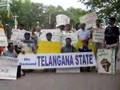 Telangana-NRIs-Prote