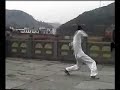 Wudang Bagua Zhang