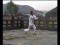 Wudang Bagua Zhang