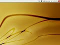 Truecrypt 5 Linux Screencast