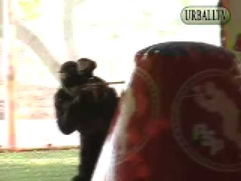 Urballtv, Nテつコ 22, part C