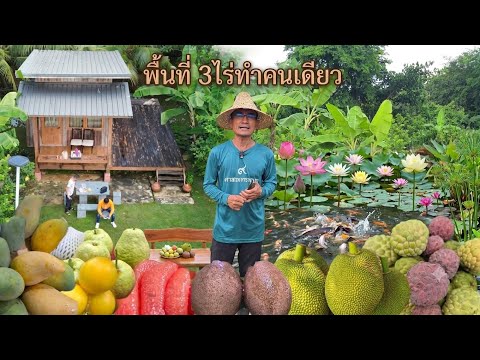 3ไร่ทำคนเดียว หิ้วน้ำรด4ปีปลูกแต่ผลไม้ดีๆมีของกินทั้งปีล้นสวน