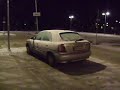 Hovsj� Hooligans - Kamphund tr�ning