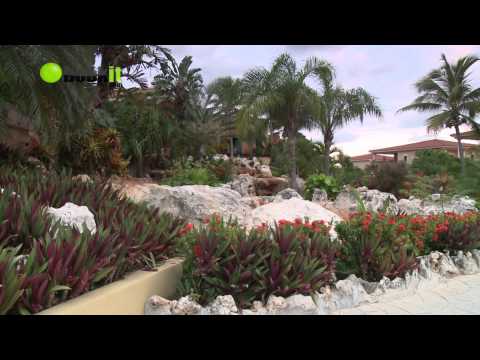 Ocean Maya Royale