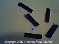 Webcam Physics 0.3