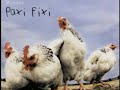 Paxi Fixi Original