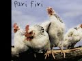 paxi fixi original