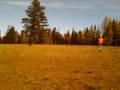 videos de Going to look at poached elk.mov