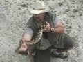 wild rattle snake capture (ONEBEAR)