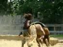 Fratelli Equestrian Arts Show number 2
