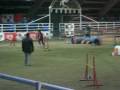 videos de graziella e prue jumping 2 voghera dicembre 08