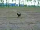 LATO NA SZLAKU