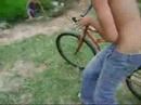 jackass no dallorto