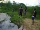 jackass no dallorto