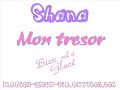 Shana - Mon tresor (zouk love 2008)