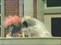 classic sesame street   the sign says dont walk