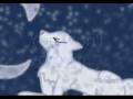Frostfurcat Dedication - Stand In The Rain