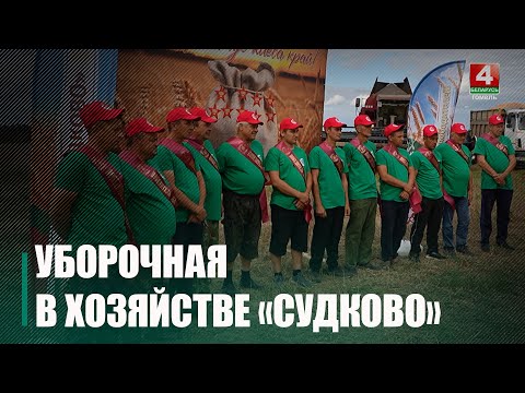 На Гомельщине убрано около 90% площадей зерновых, зернобобовых и рапса видео