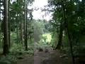 videos de Go Ape Leeds castle Harry