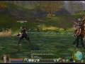 Aion - Special Sword/Flail hybrid weapon #2