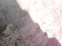 Turminha do Onibus � uma vida - iT�